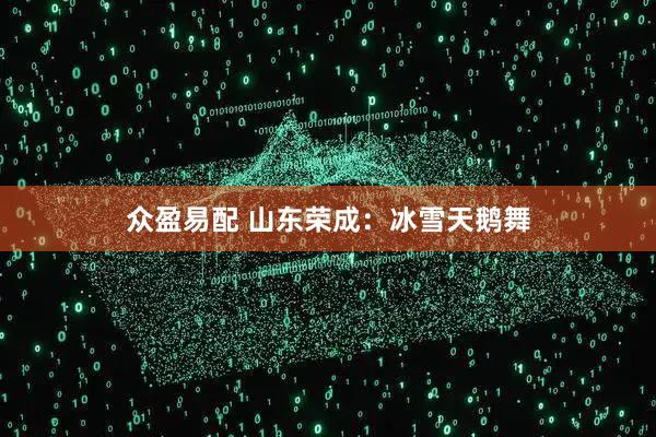 众盈易配 山东荣成：冰雪天鹅舞