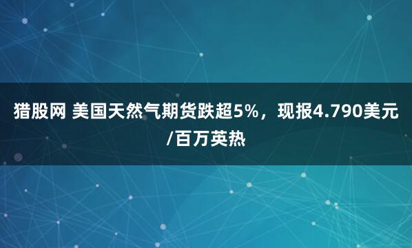 猎股网 美国天然气期货跌超5%，现报4.790美元/百万英热