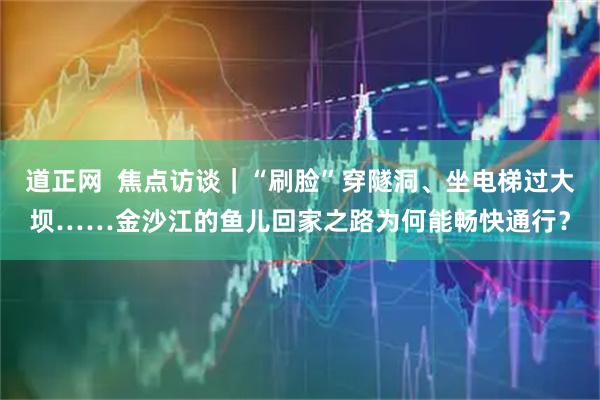 道正网  焦点访谈｜“刷脸”穿隧洞、坐电梯过大坝……金沙江的鱼儿回家之路为何能畅快通行？